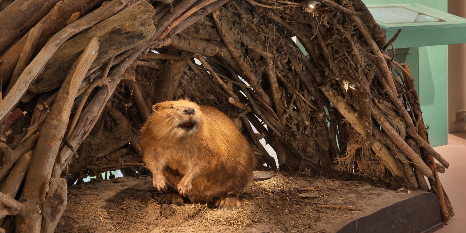 24.12.02_0459 24 12 02 0459