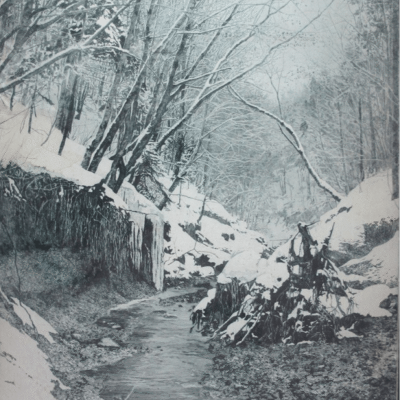 screenshot-www.instagram.com-2026.02.12-09_28_18 screenshot-www.instagram.com-2026.02.12-09_28_18